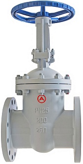 Задвижка 30с64нж DN50 с выдвижным шпинделем