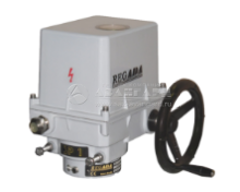Regada SP 1 - однооборотный электрический исполнительный механизм (ЭИМ) серии Standart  